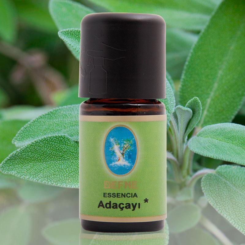 Adaçayı Yağı Organik 5 ml 10 ml