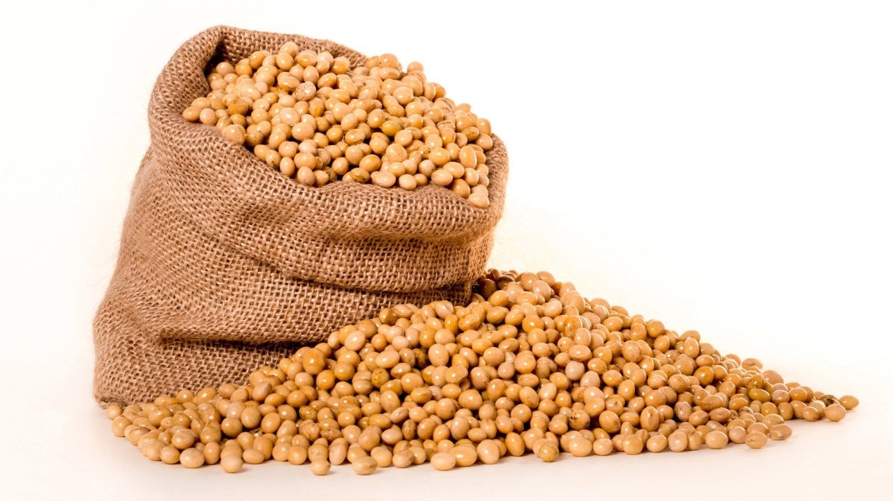 Soya Fasülyesi (GDO suz Yerli Üretim) 1 kg