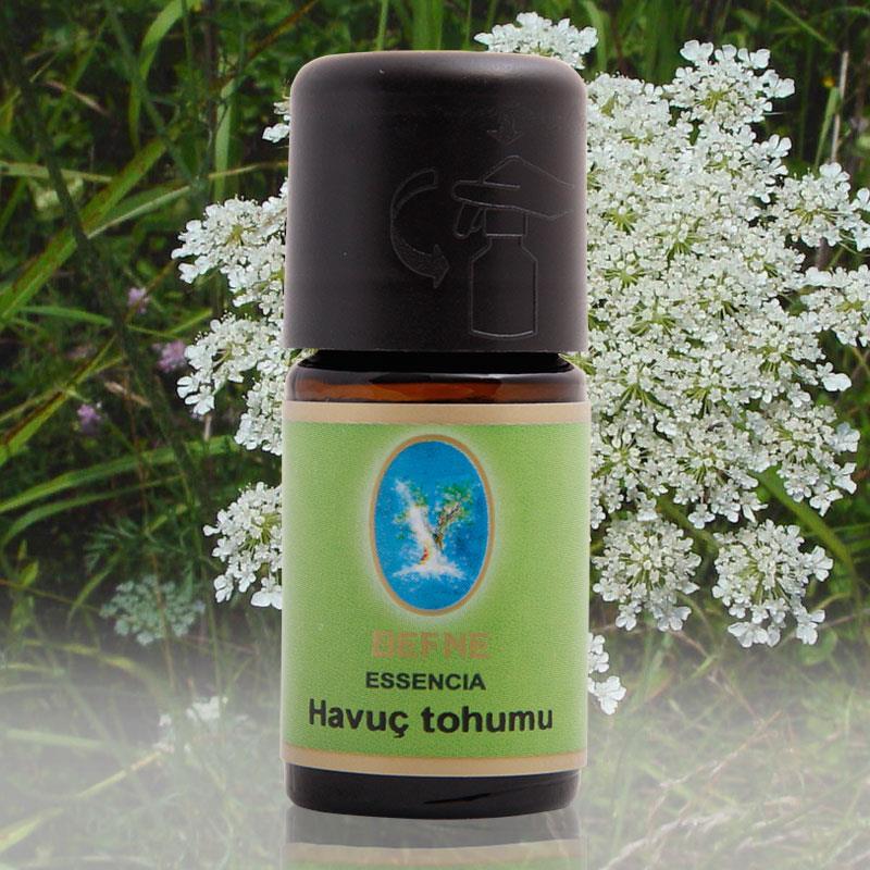Havuç Tohumu Yağı Geleneksel/5 ml