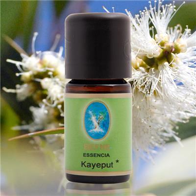 Kayeput Yağı Organik 5 ml