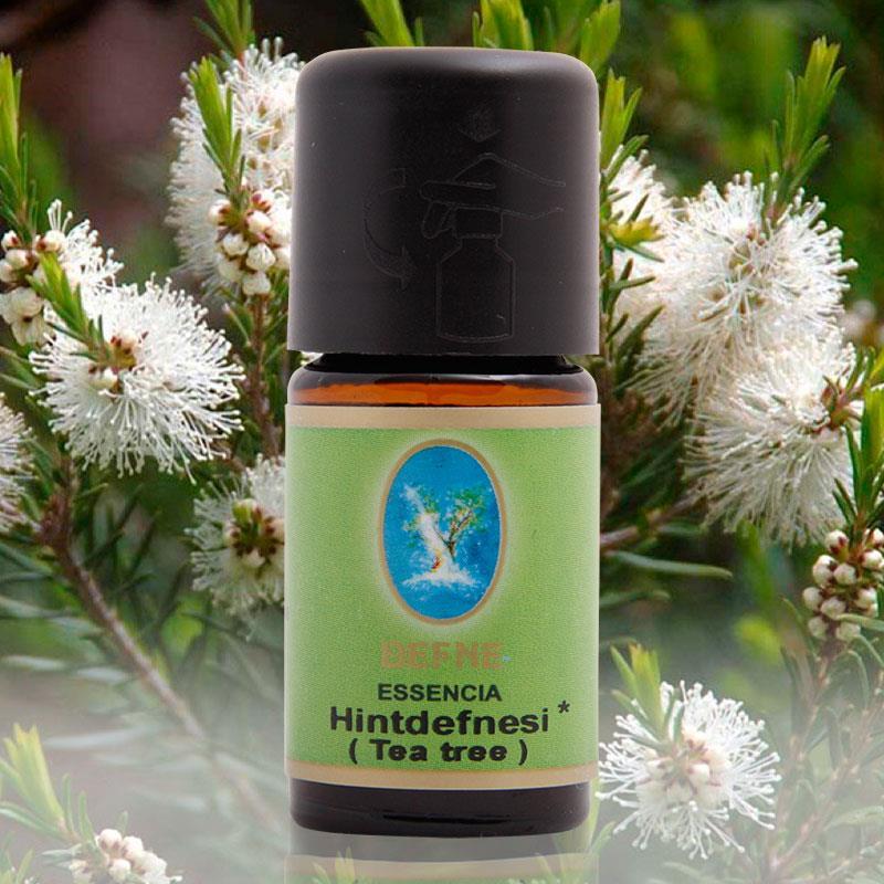 Hint Defnesi Yağı / Tea Tree Çay Ağacı Yağı Organik