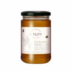 Umay Organik Çam Balı 850 gr görseli.