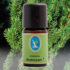 Bodur Çam Yağı Organik 5ml