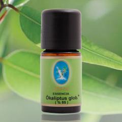 Okaliptus-globus Yağı Organik 5ml
