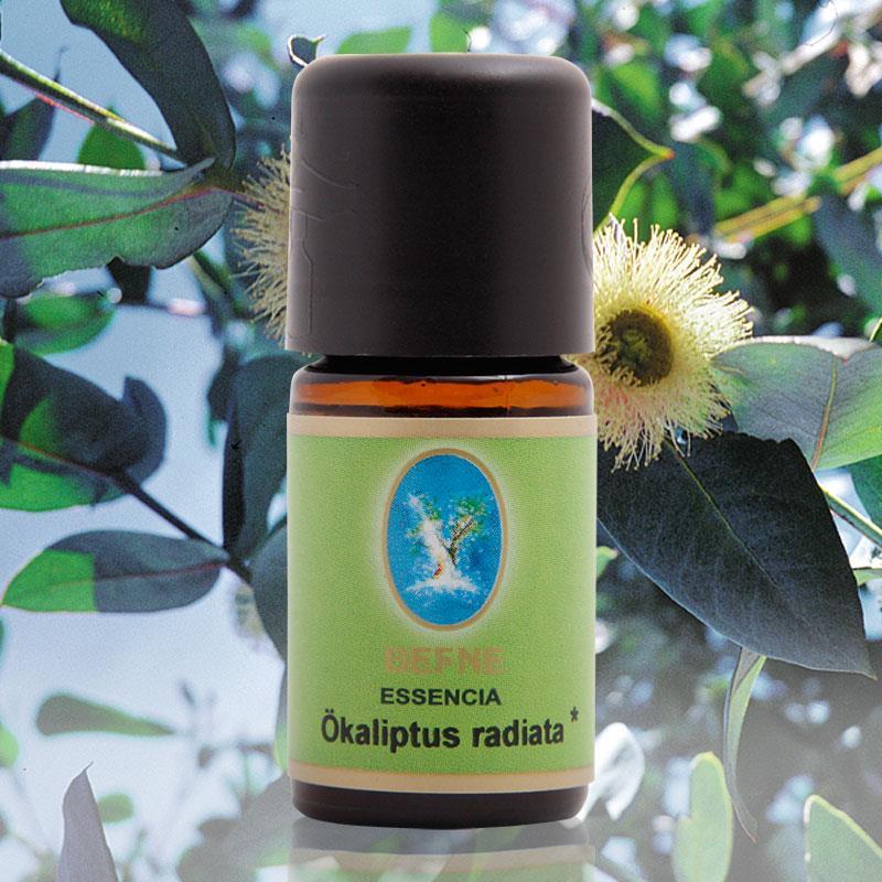 Okaliptus-radiata Yağı Organik