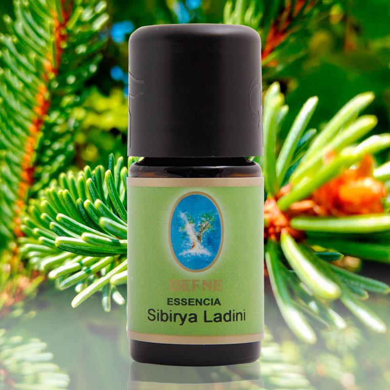 Sibirya Ladini Yağı Naturel