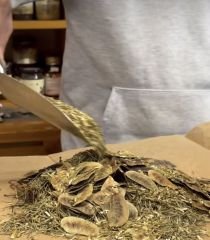 Çay Karışımı ( form )