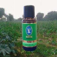 ORGANİK HİNT YAĞI (CASTOR OIL)
